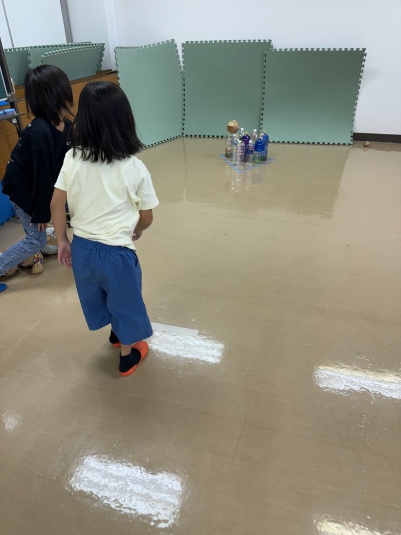 ペットボトルにボールを投げている